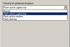 Windows 2000 - Settings for SoundSentry