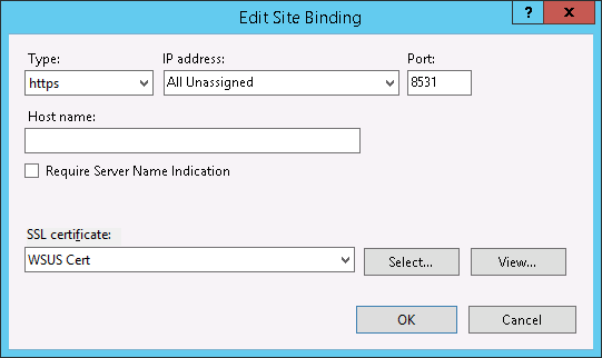 IIS - Edit Site Binding - WSUS